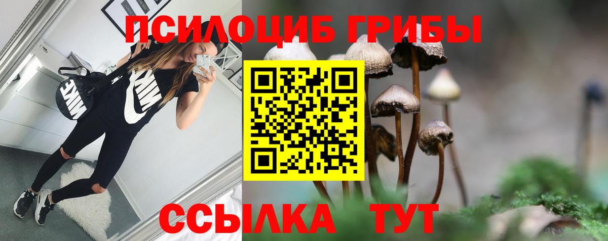 Псилоцибиновые грибы мухоморы  Вход с VPN  Мелеуз 